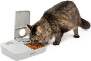 PetSafe Analog 2 Meal Programmable Feeder 