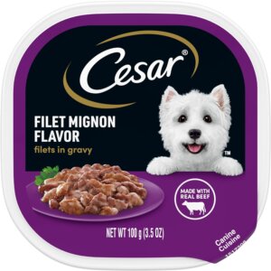 CESAR Filets in Gravy Adult Wet Dog Food: Best-selling foods for Dachshund happiness