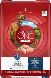 Purina-ONE-Plus-Dry-Dog-Food