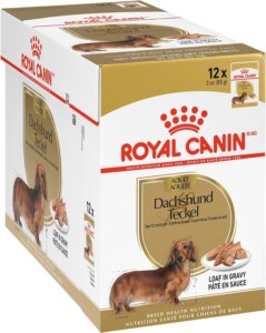 Royal Canin Breed Health and Nutrition: Ultimate Dachshund Diet Solutions