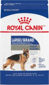 Royal Canin Large Breed Adult Best Dog Food for Active Large Dogs