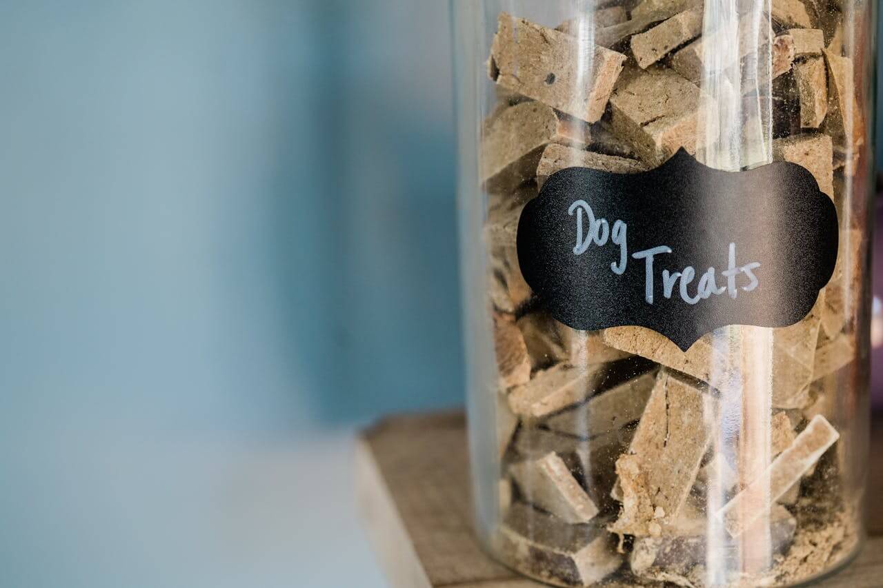 Why-Use-a-Dog-Food Storage-Container