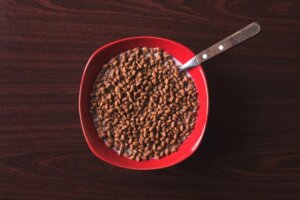 How to Prepare Dog Food at Home for Senior Dogs