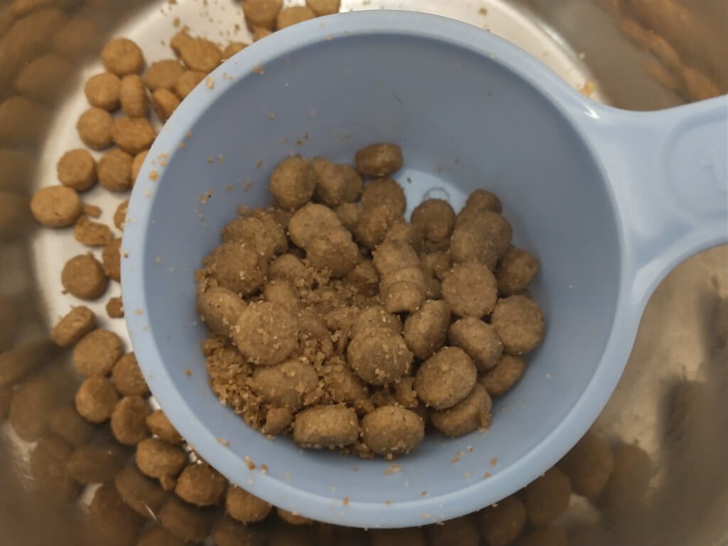  How to Get my Dog to Eat Dry Food