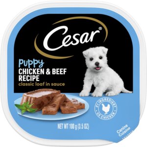 Cesar Best-selling Chihuahua dog food choices