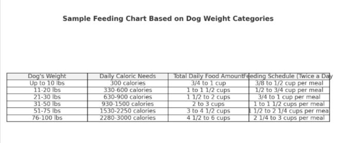 how much homemade dog food to feed per day