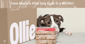 How Much is Ollie Dog Food in a Month?