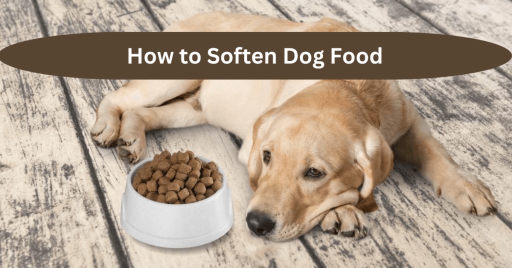 How to Soften Dog Food