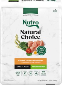 Nutro Wholesome Premium Dog Food Brands for Your Australian Shepherd