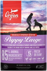 Orijen Best dog food for Labradors for Large puppies