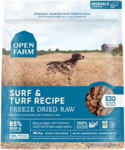 best freeze dried raw food for dogs