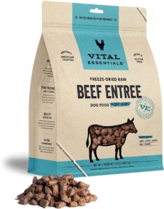 best raw freeze dried dog food