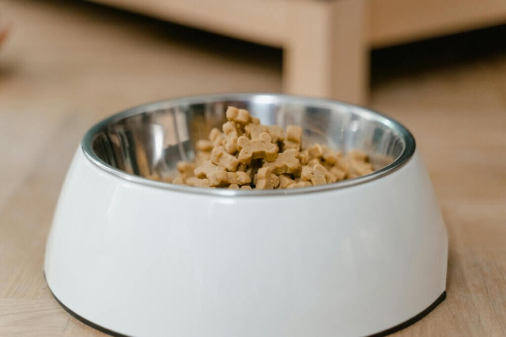  how to choose a dog food brand 