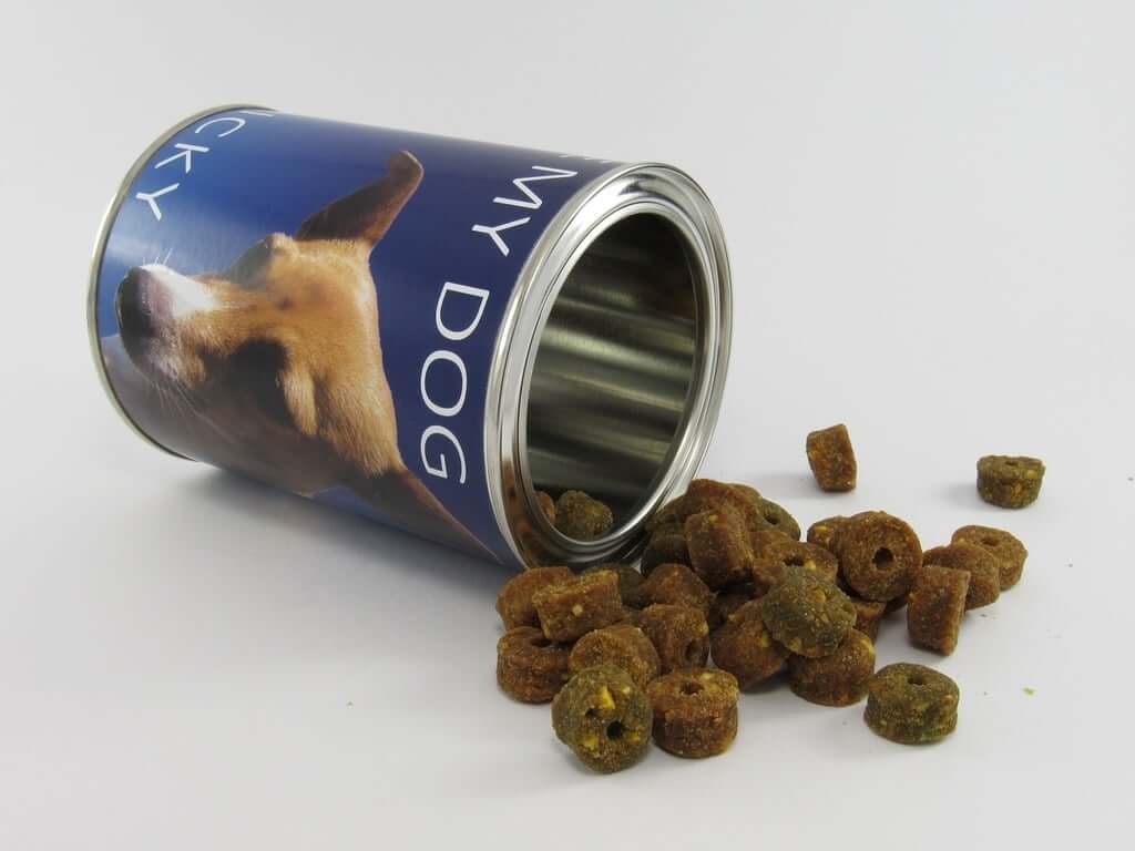 How Long is Canned Dog Food Good for After Opened