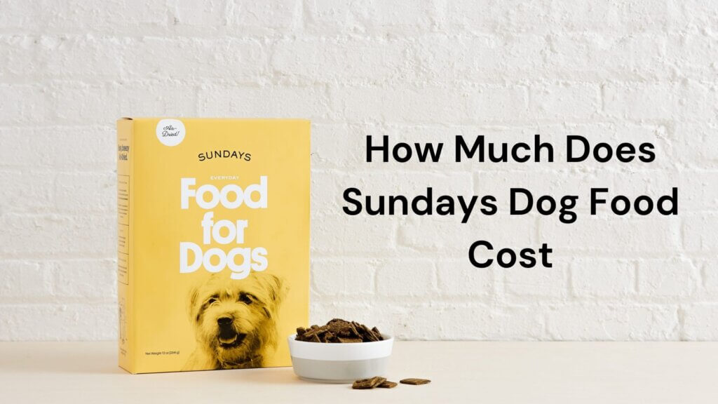 How Much Does Sundays Dog Food Cost