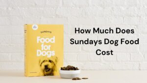 How Much Does Sundays Dog Food Cost