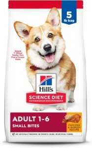 best dog food for a corgi