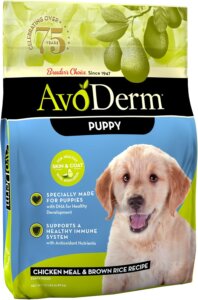 best dog food for coat and skin