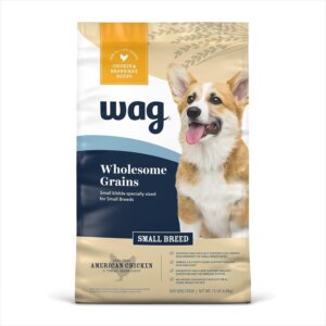 best dog food for corgi