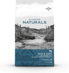 best dog food for skin