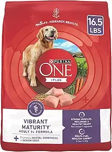 best dry food for senior dogs