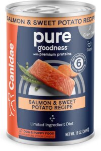 what is the best salmon dry dog food