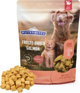 what's is the best salmon dog food