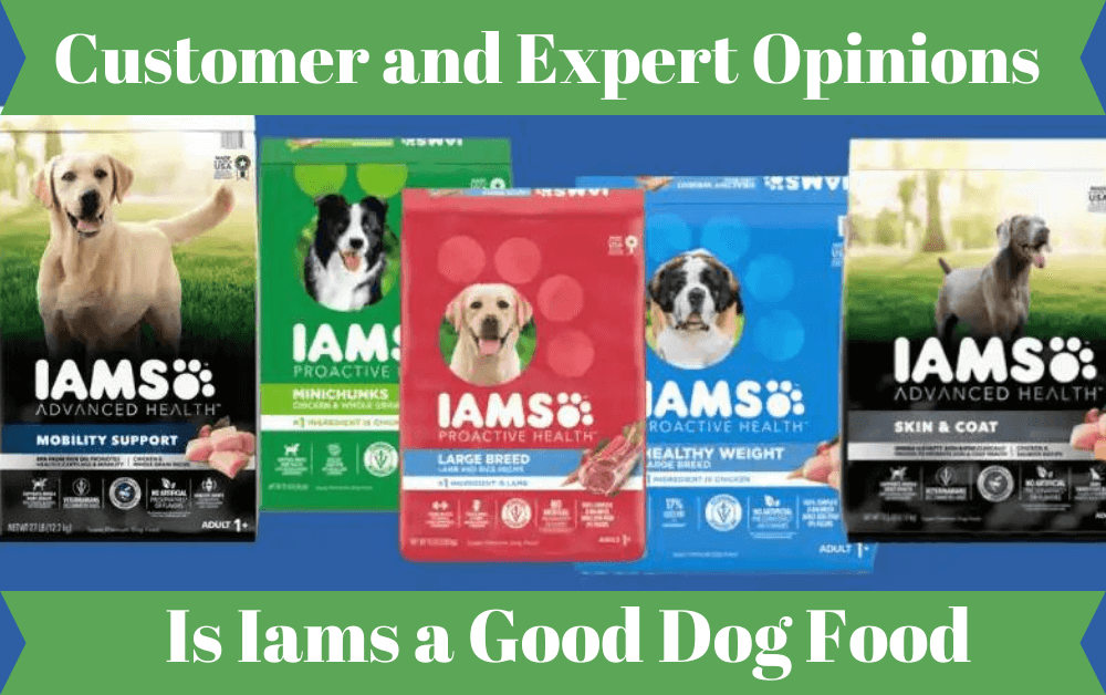 is iams a good dog food for puppies