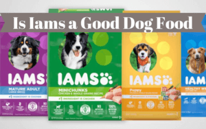 is iams a good dog food