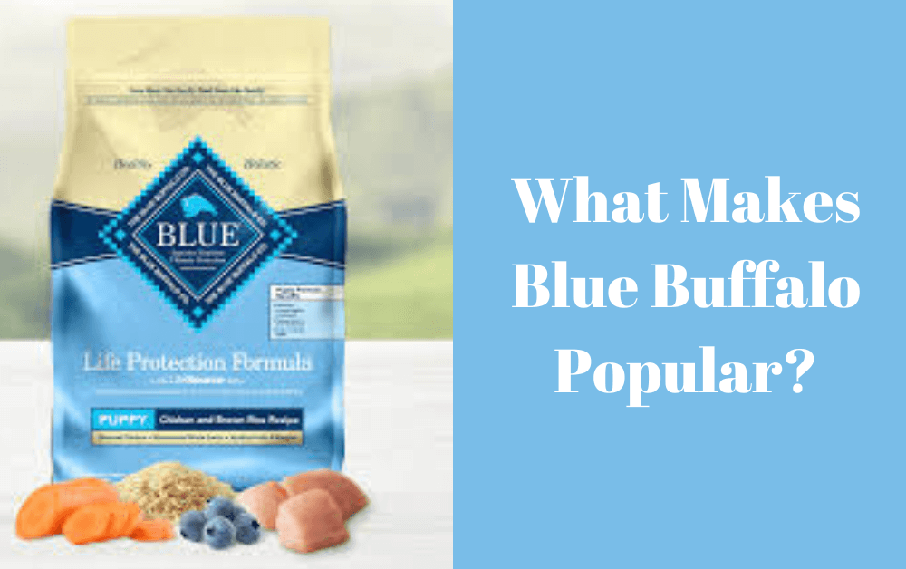 Is blue buffalo a good dog food 