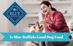 is Blue Buffalo Good Dog Food