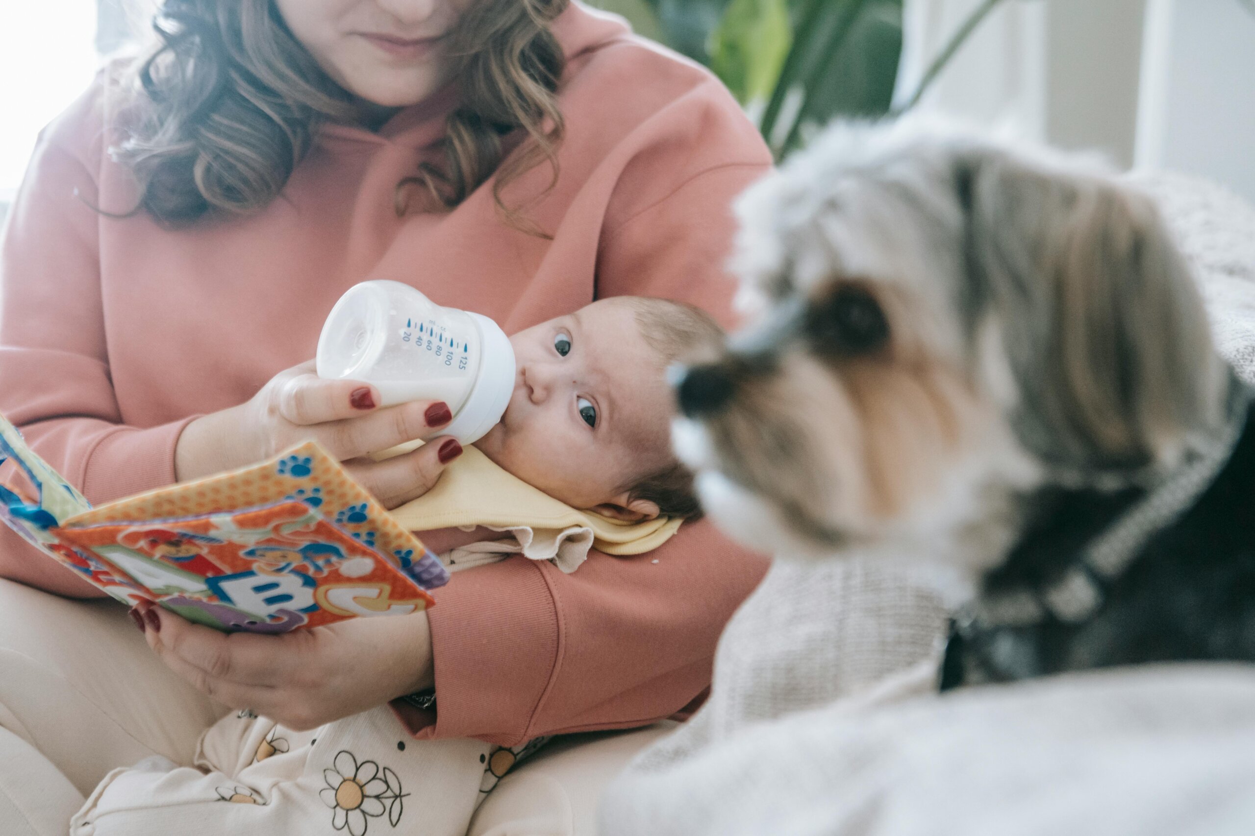 baby food dogs can eat