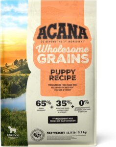 best dog food brand for border colllies