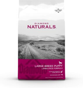 best dog food for a rottweiler