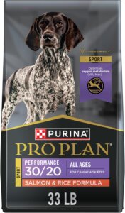 best dry dog food for bully breeds