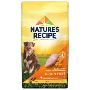 best food for dogs with itchy skin