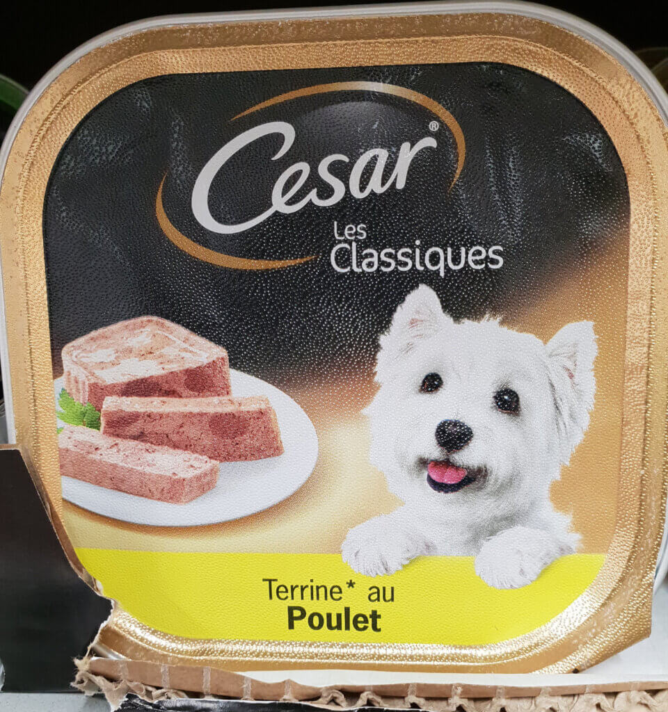 Cesar wet dog food how much to feed 