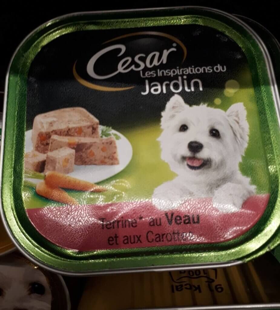 How much cesar dog food to feed a puppy